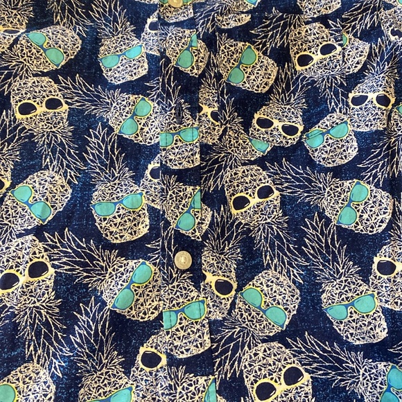 Button Down Shirt- Blue with Pineapples - Picture 3 of 4